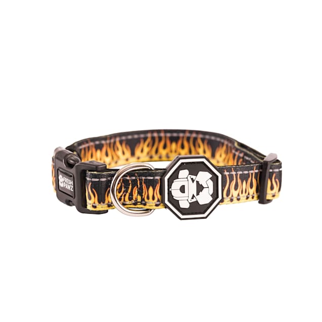 Flame dog collar cheap