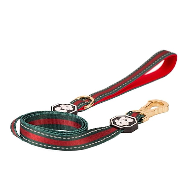 Fresh Pawz The GStripe Dog Leash, Small Petco