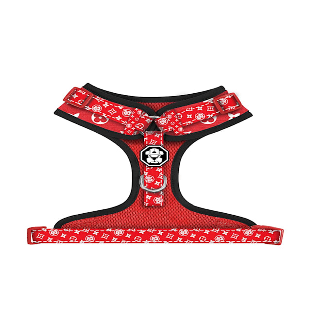 Goochi Monogram Harness & Leash, Paws Circle