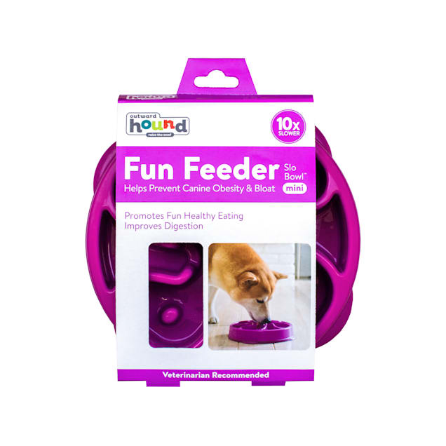 Fun Feeder Slo Bowl  Slow Feeder Dog Bowl