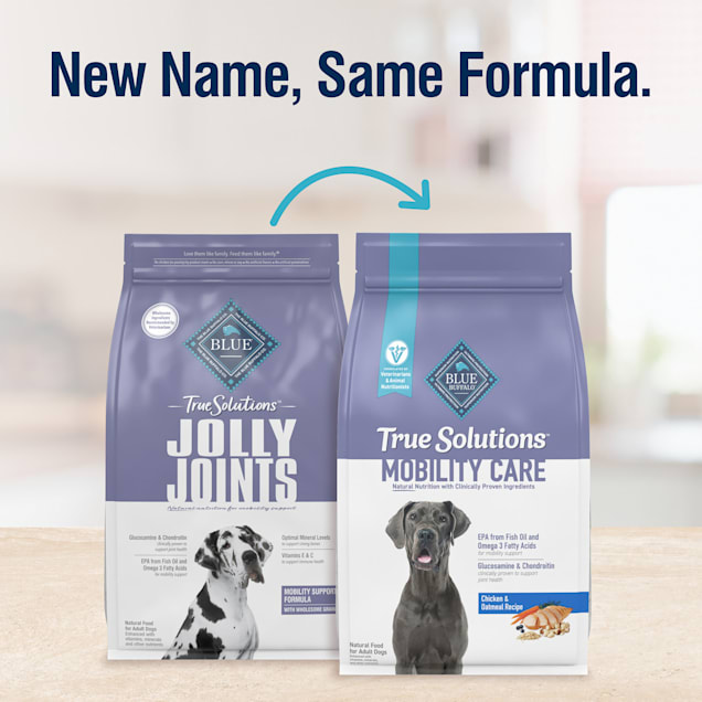 Best dog food for joint mobility outlet