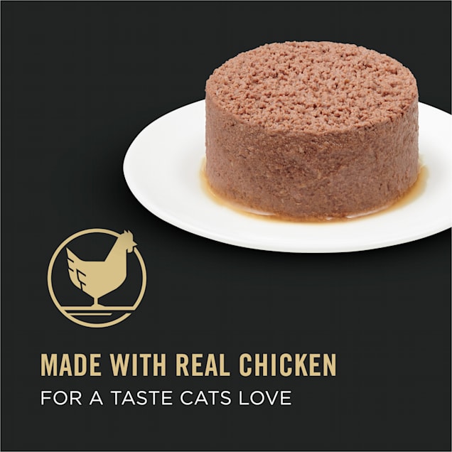 Wet cat food for sensitive skin shop
