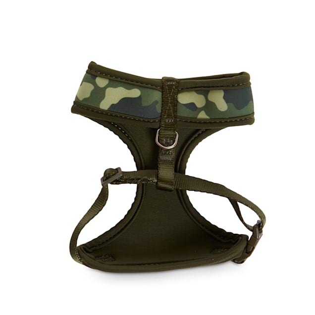 Bond & co cat harness top