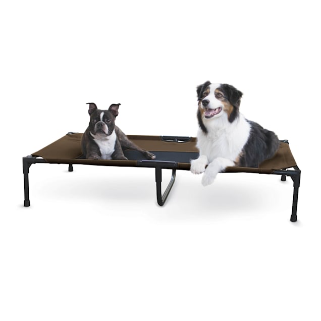 K&H Chocolate/Mesh Original Pet Cot, 32" L X 50" W X 9" H - Carousel image #1