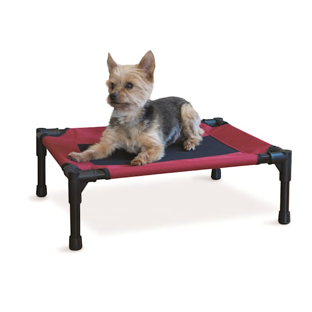 Petco elevated dog bed sale