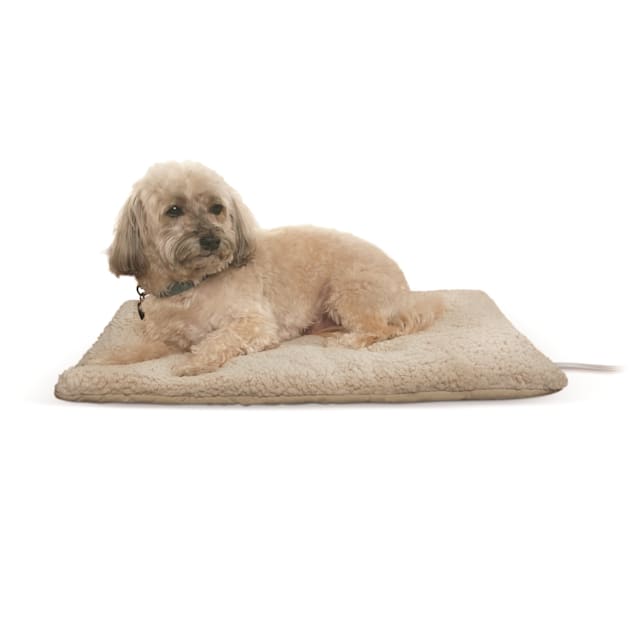 Dog store bed heater