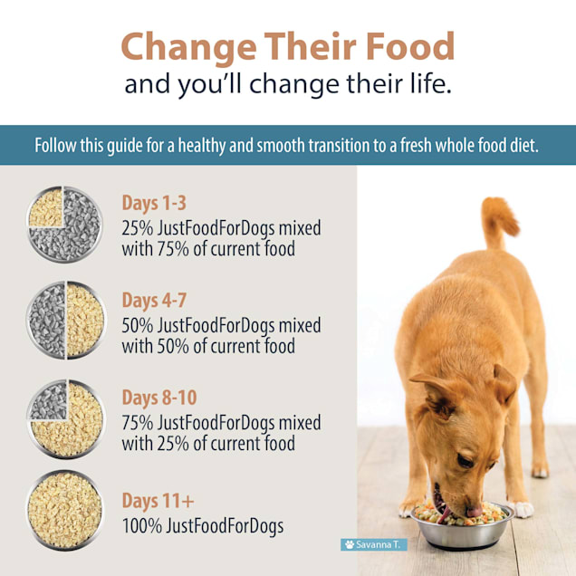Low fat diet for dogs with liver disease deals
