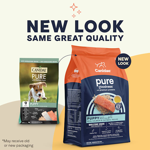 Petco simply nourish sale