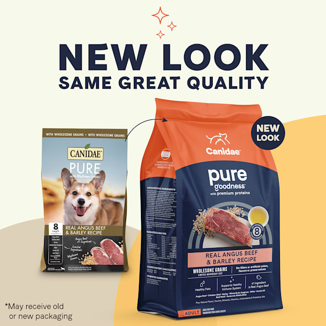 Canidae Pure Wholesome Grains Limited Ingredient Real Angus Beef and Barley Recipe Dry Dog Food 4 lbs