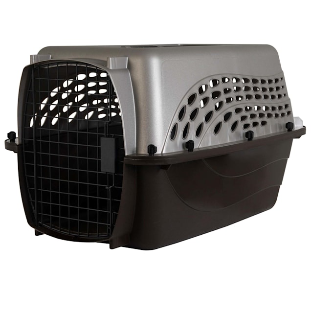 Cat crate petco clearance