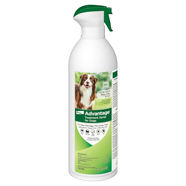 Advantage spray cheap for dogs