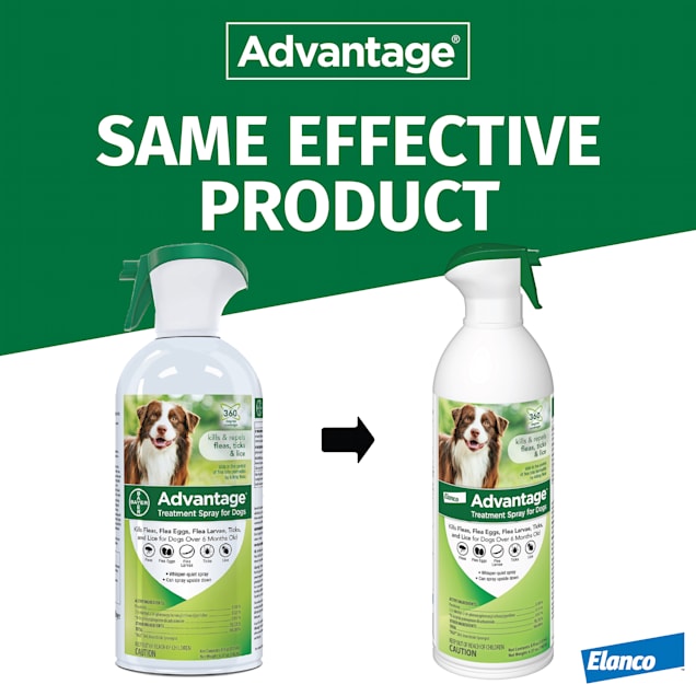 Advantage flea spray for dogs best sale