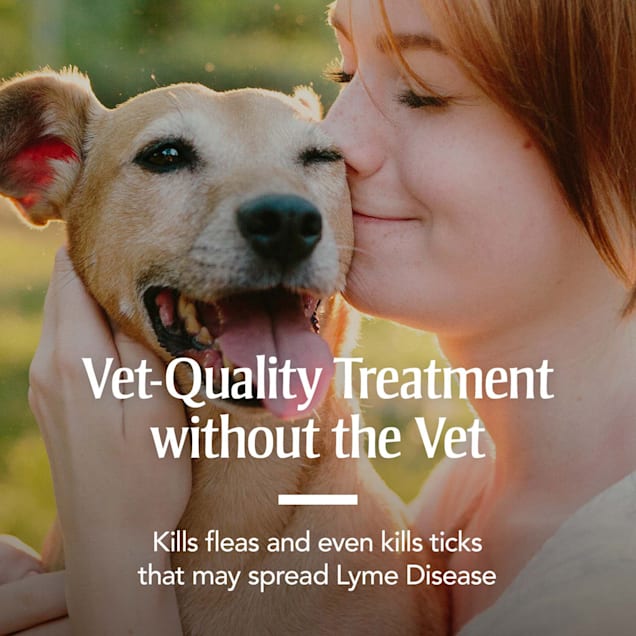Flea and tick carpet treatment outlet