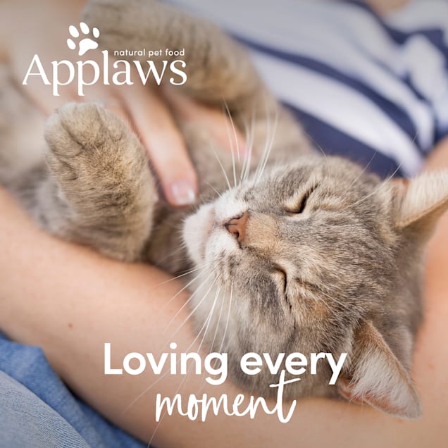 Applaws puree top cat treats