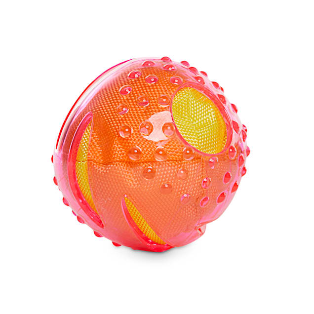 Leaps Bounds Medium Crinkle Ball Dog Toy