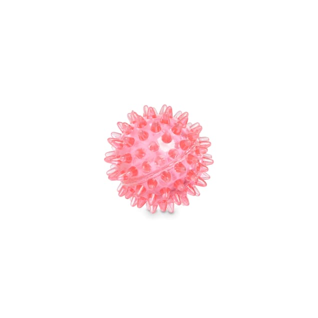 Spiky ball dog toy sales
