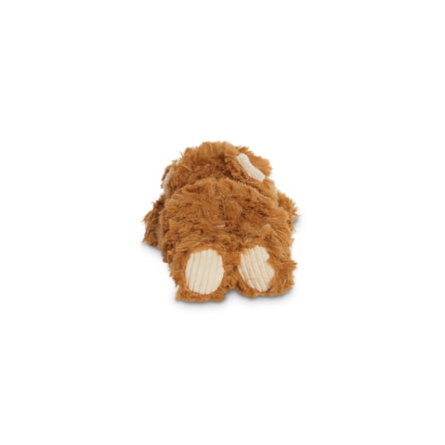 Up for A Cuddle Bear Slippers - Small/Medium