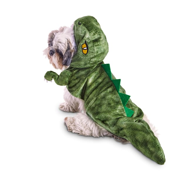 Dog in a dinosaur shop costume