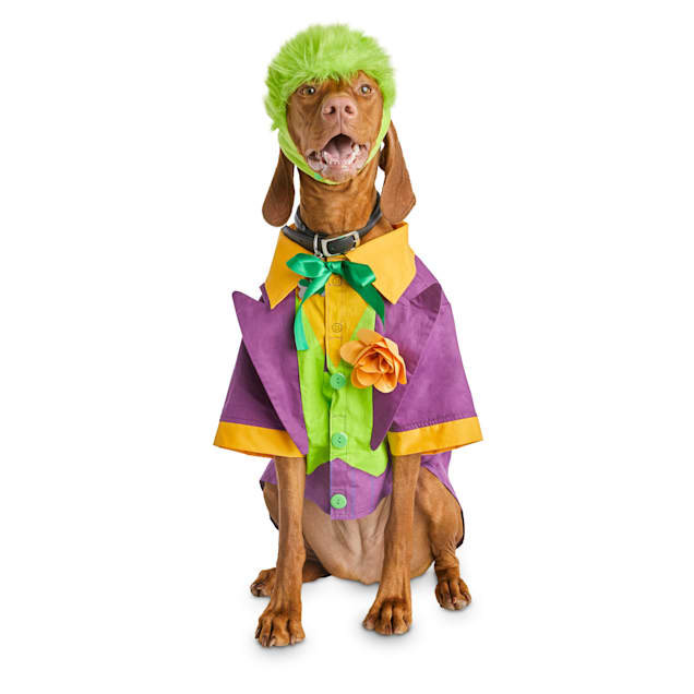 Bootique Dc Joker Dog Costume X Small Petco