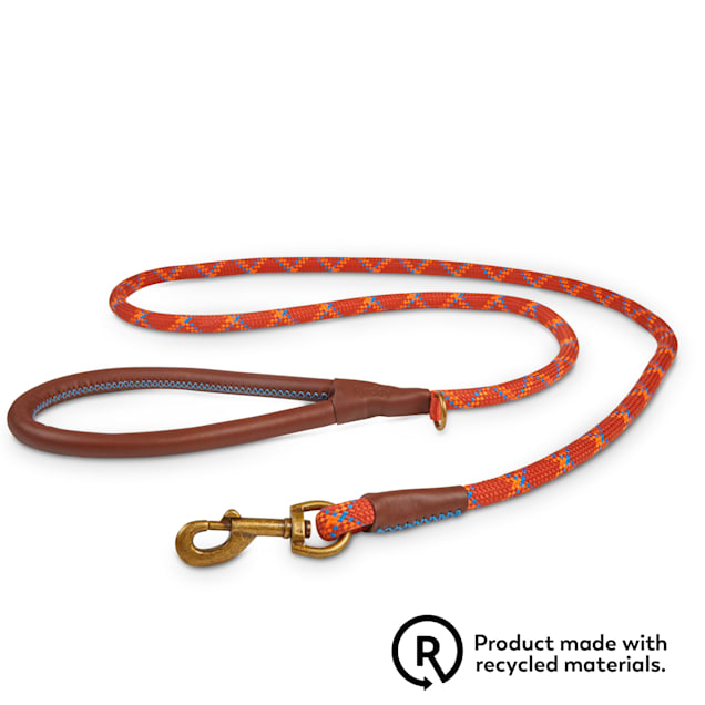 Reddy dog lead clearance
