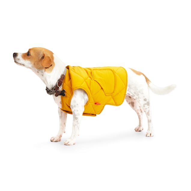 Dog quilted vest clearance