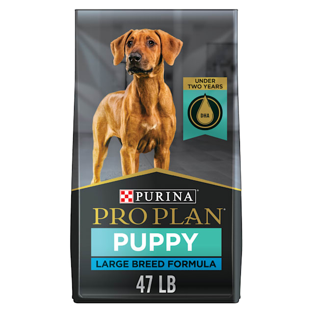 Purina Pro Plan Large Breed Focus Chicken & Rice Formula Dry Puppy Food, 47 lbs., Bag - Carousel image #1