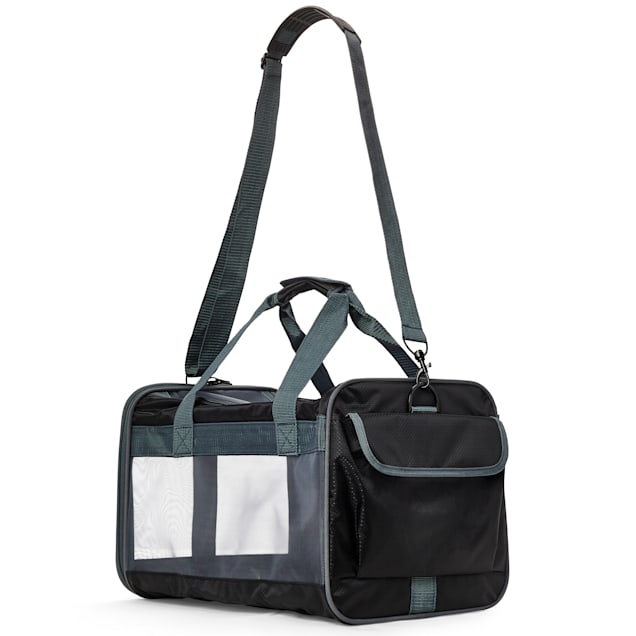 EveryYay Places To Go Black Pet Carrier, Small