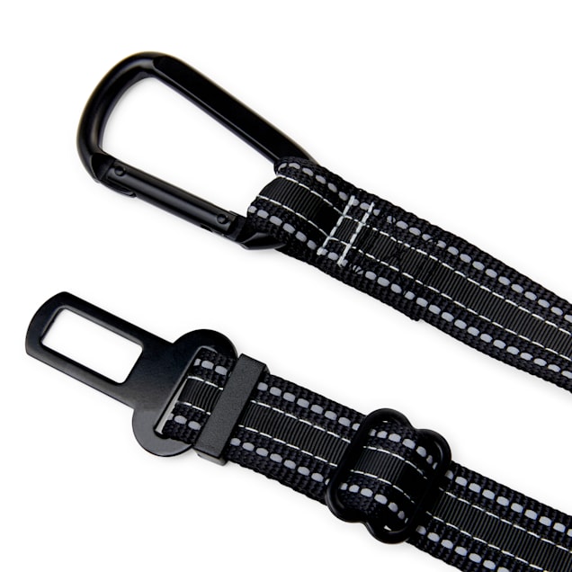 Petco seat belt store