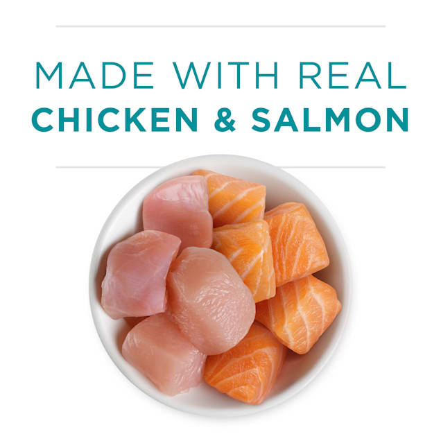 Purina One Grain Free Healthy Chicken Salmon Recipe Pate Wet Kitten Food 3 Oz Case Of 12 Petco