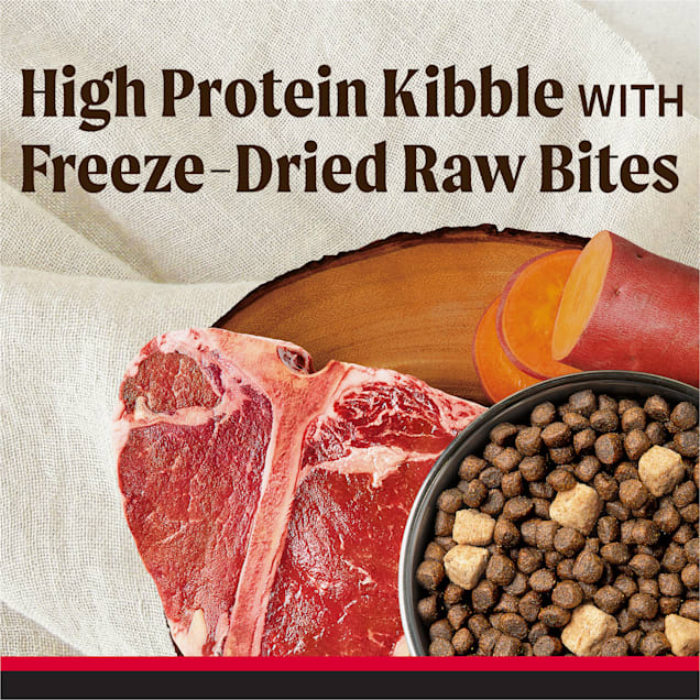 Raw infused dog food store
