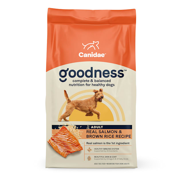 Canidae Goodness Adult Salmon Brown Rice Dry Dog Food 25 lbs