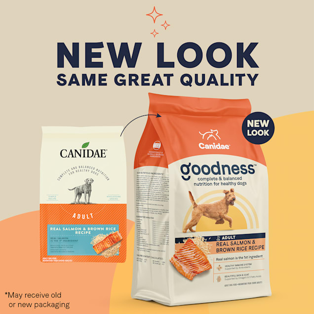 Dog food with new arrivals salmon and rice