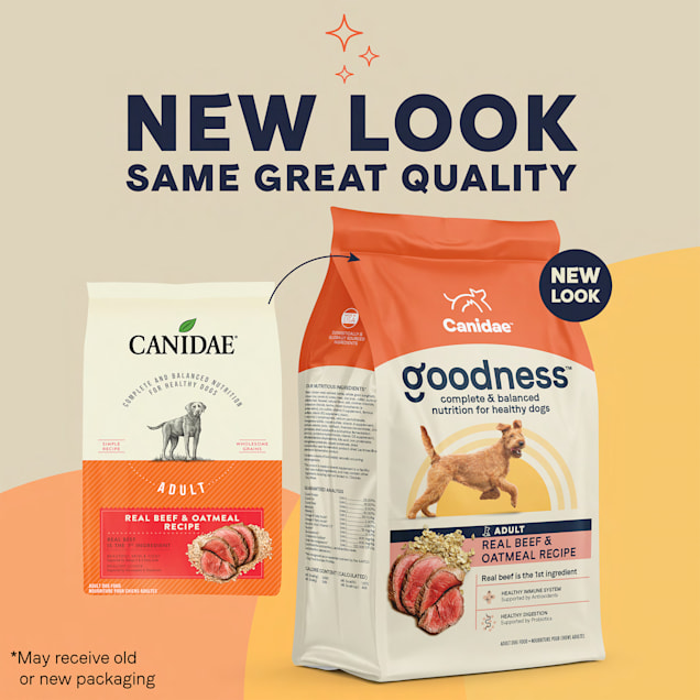 Is oatmeal good sale for diabetic dogs