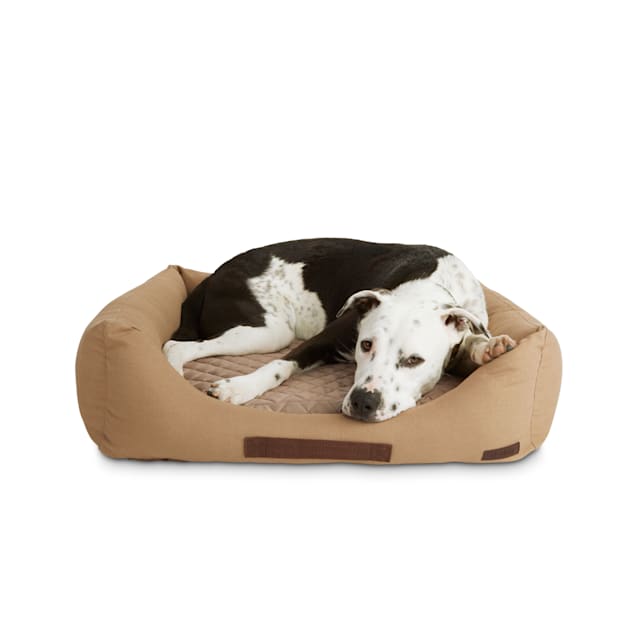Large canvas dog bed clearance