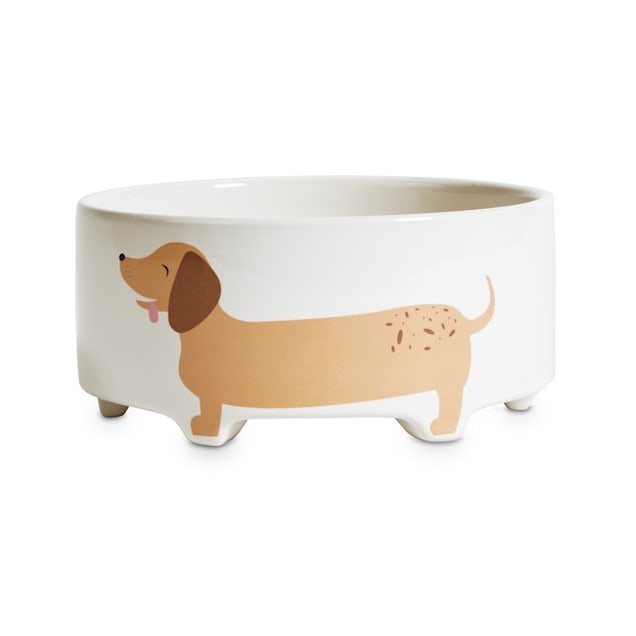 EveryYay Dining In Footed Ceramic Dog Bowl, 3.4 Cups - Carousel image #1