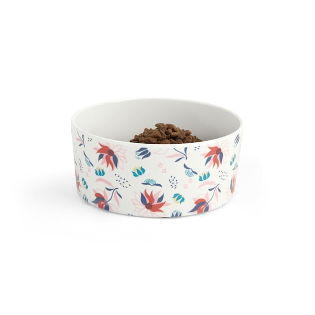 Melamine cat bowls deals