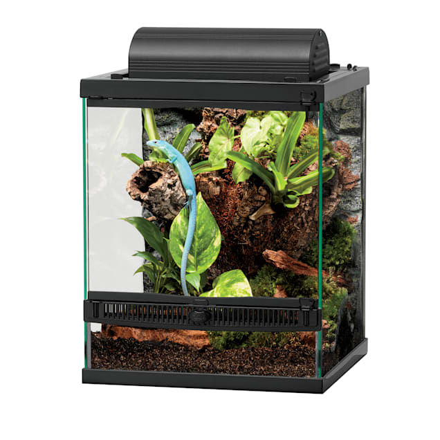Terrarium enclosure cheap