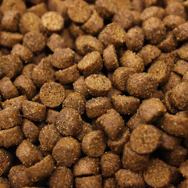 8 in 1 ultimate ferret food discount