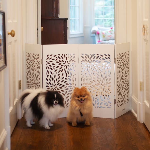 Cardinal Gates Decorative White Starburst Freestanding Pet Gate