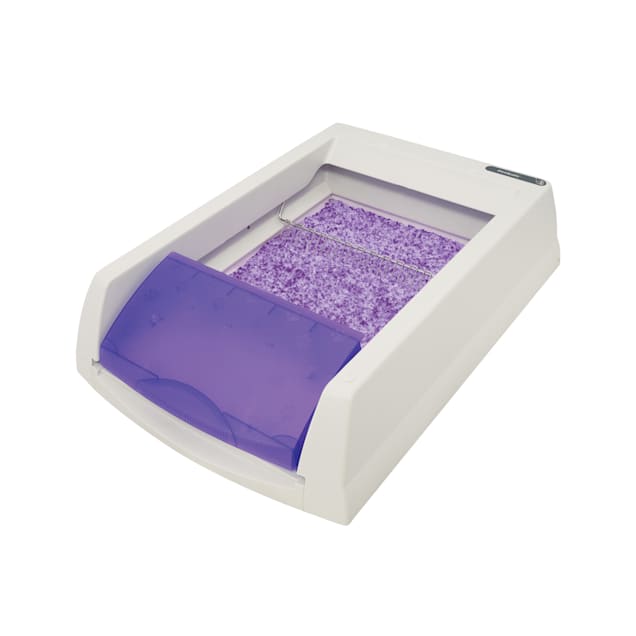 ScoopFree by PetSafe Lavender Disposable Crystal Cat Litter Tray