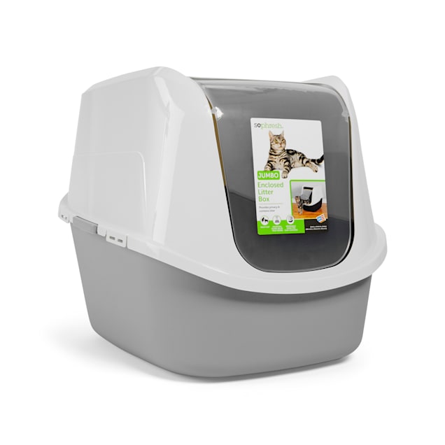 Are Covered Litter Boxes Good For Cats?