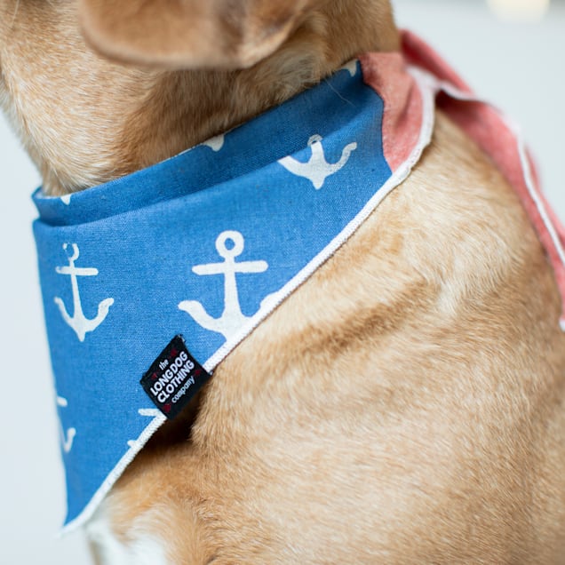 Dog bandana companies top