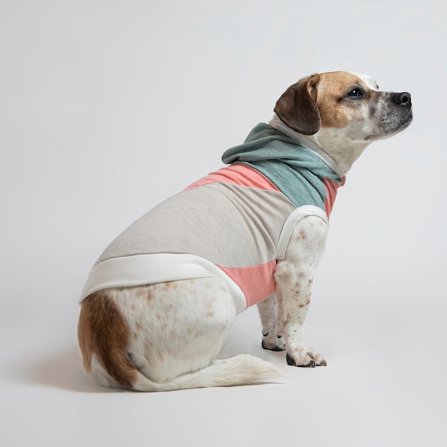 Long Dog Clothing Co. The Surfer II Sleeveless Lightweight Hoodie Dog Shirt,  X-Small | Petco