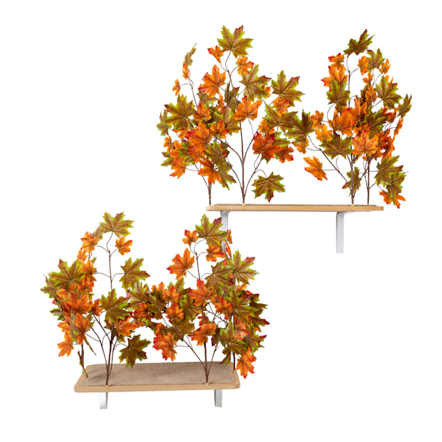 On2Pets Summer Rectangle Cat Canopy Shelves, 16" H - Carousel image #1