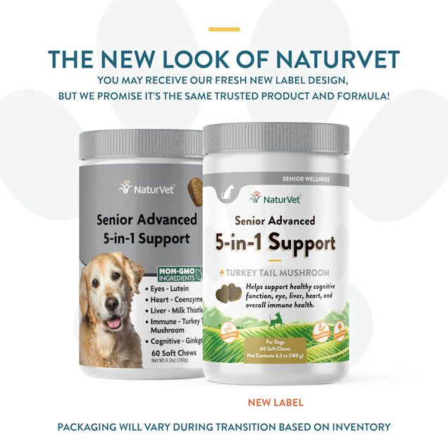 Ginkgo biloba for dogs with cushings outlet