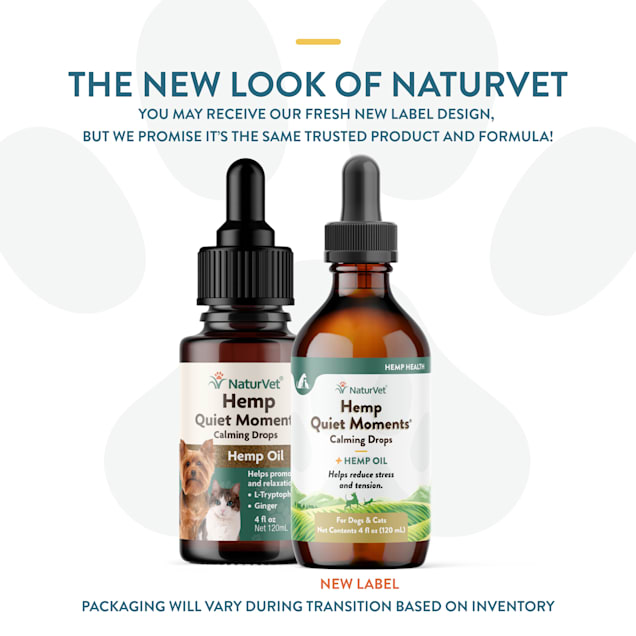 Quiet best sale moments hemp