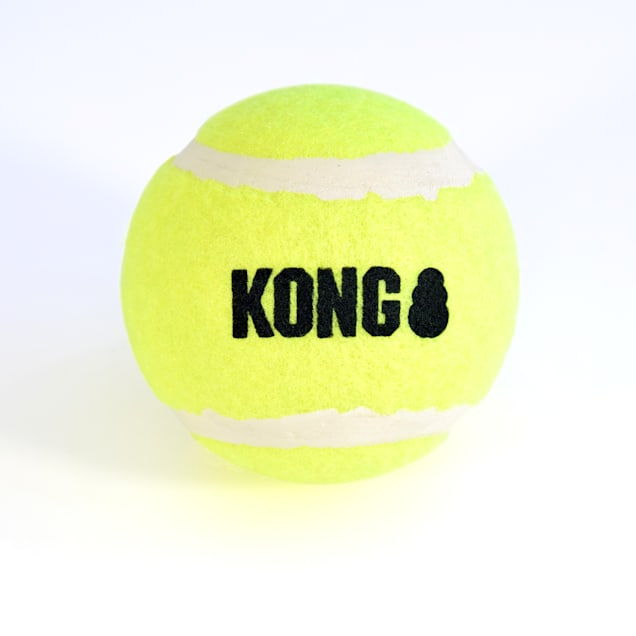 Kong handipod sale refill
