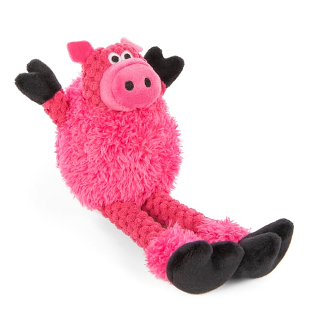Pig dog toy outlet petco