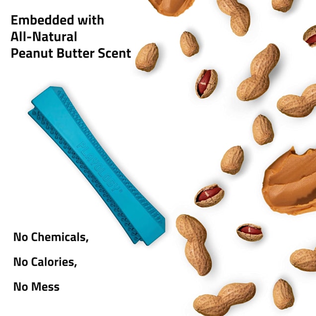 Playology Medium Peanut Butter Scent Dental Chew Stick Dog Toy