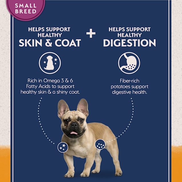 New balance dog food clearance